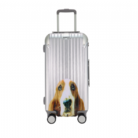 Hush Puppies銀色 印花行李箱 OEM ODM客製禮贈品